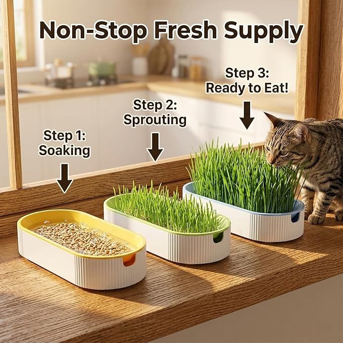 __DEFAULT__