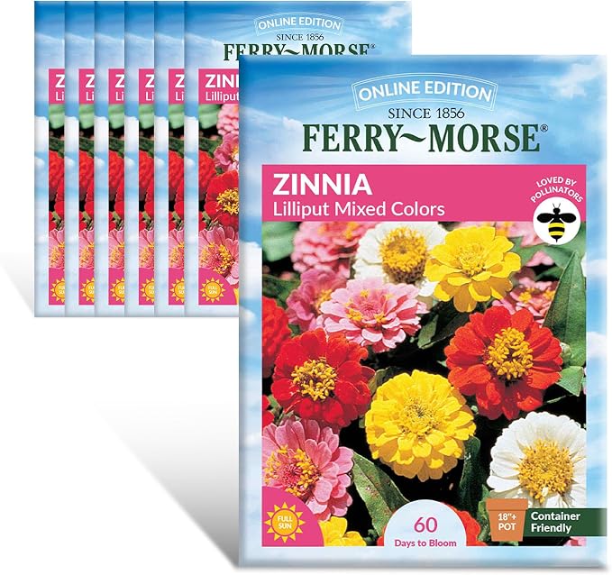 Zinnia Lilliput Mixed Colors Seed Multipack - 7 Pack