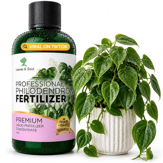Philodendron