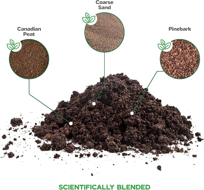 Succulent Soil
