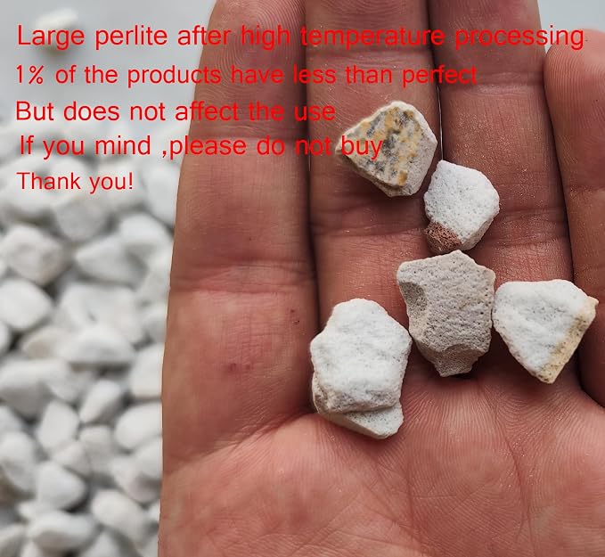 Large Perlite