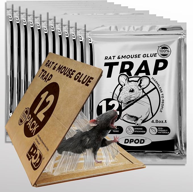 12 Pack