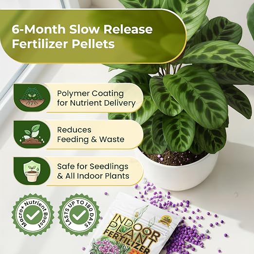 Indoor Plant Fertilizer (18-6-8 Pellets)