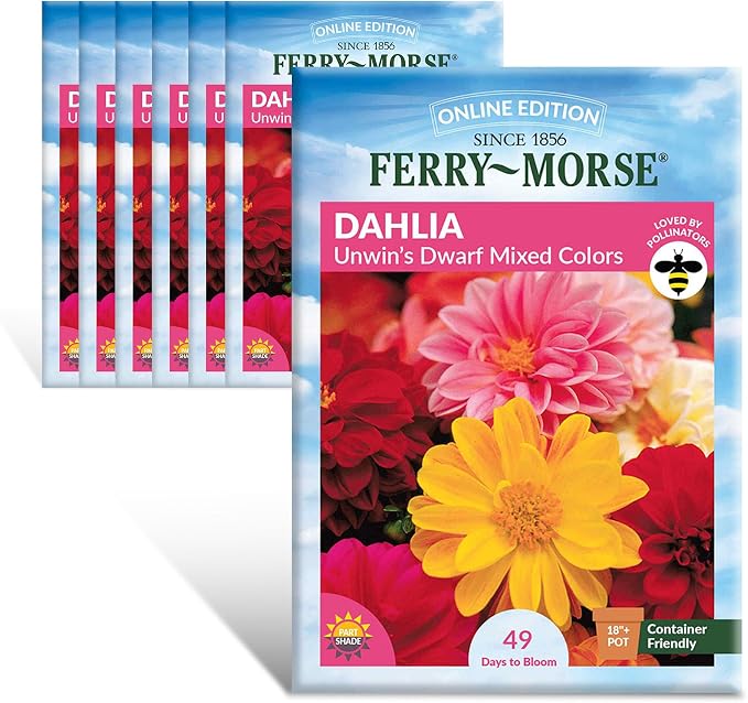 Dahlia Unwin's Dwarf Mixed Colors Seed Multipack - 7 Pack