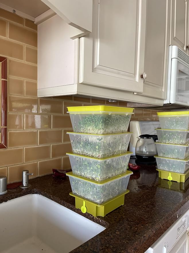 4-Tier Sprouting Kit