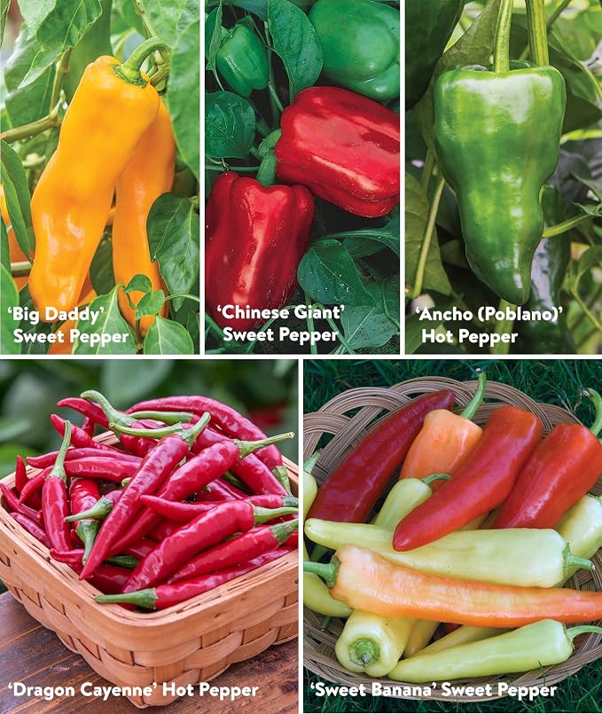 Best 10 Pepper Collection