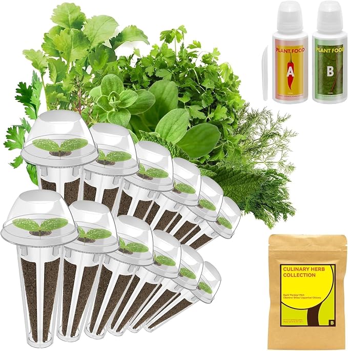 Herb