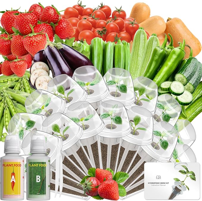 Fresh Fruit