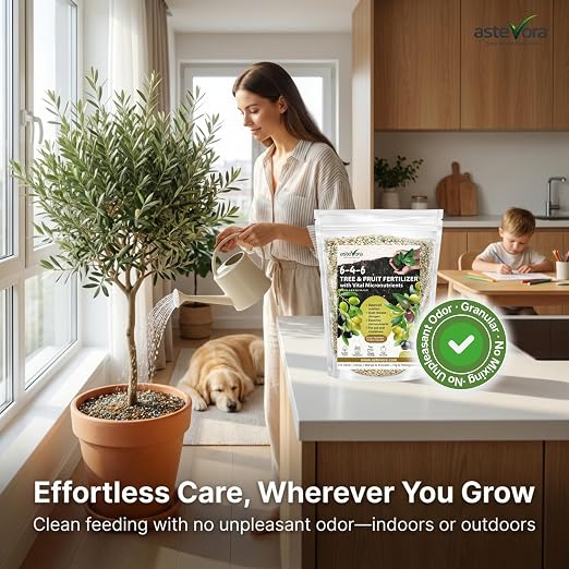 Olive Tree Fertilizer