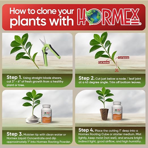 E) #1,3,8,16: Delicate Softwood to Hardwood Plants