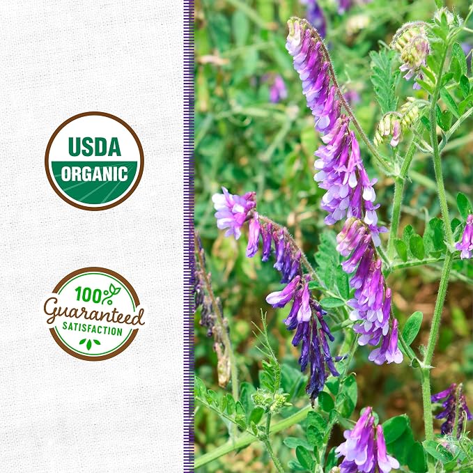 Hairy Vetch