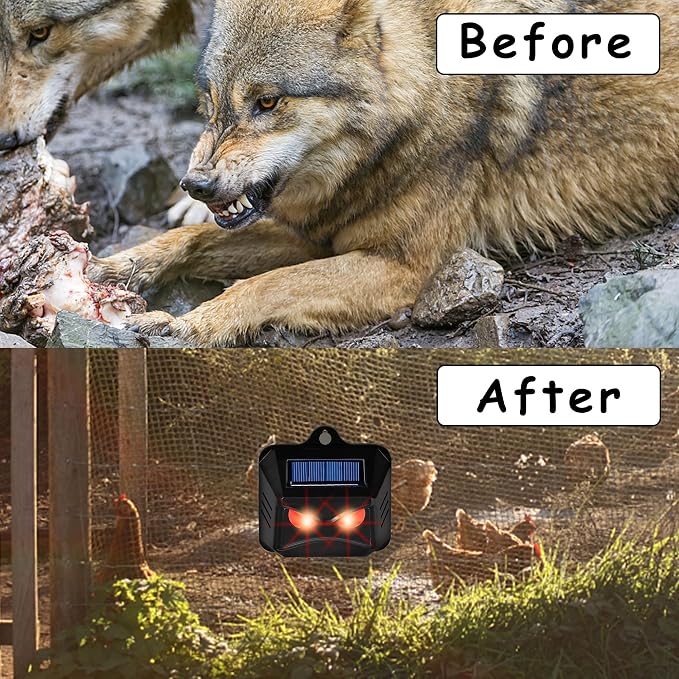 __DEFAULT__