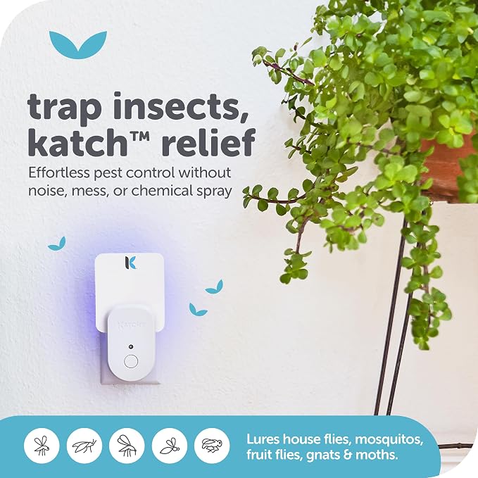 White | 2pk