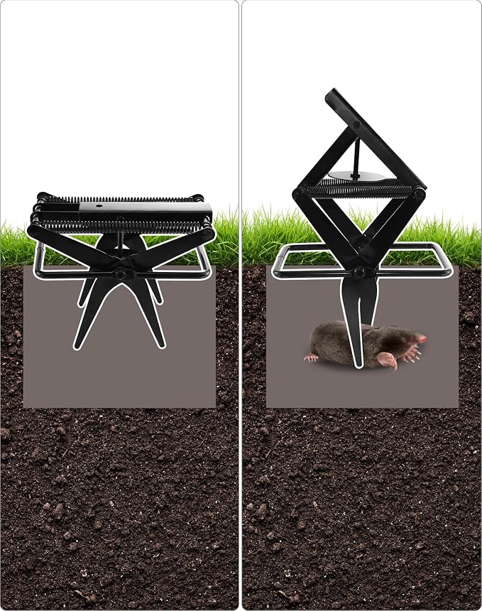 Black - 2 Pack