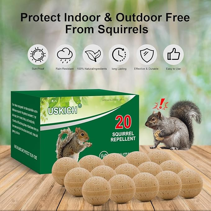Brown-squirrel
