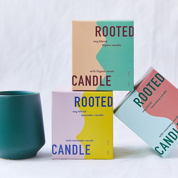 3-Pack Lavender, Rosemary & Thyme