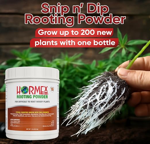 D) #16 For Hard to Root Woody Plants - 1 Lb
