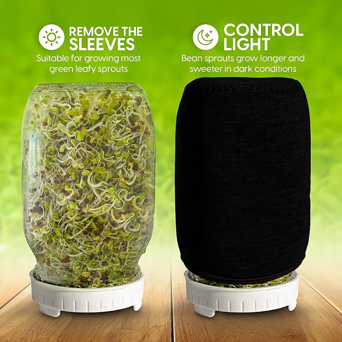 Sprouting Jar with Seeds