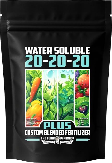 20-20-20 Plus