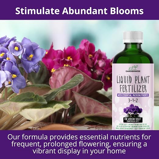 African Violet Drops 3-1-2