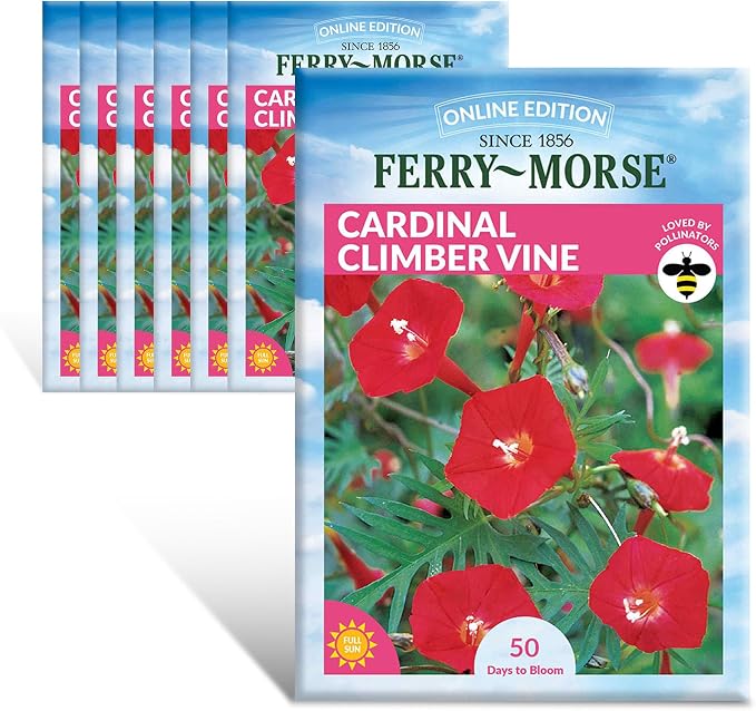 Cardinal Climber Vine Seed Multipack - 7 Pack