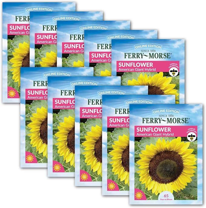 Sunflower American Giant Hybrid Seed Bundle - 10 Pack