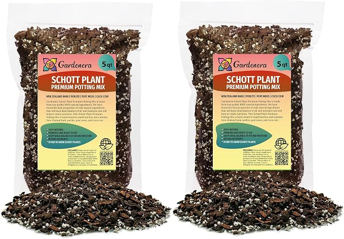 Monstera Lechleriana Schott Soil Mix