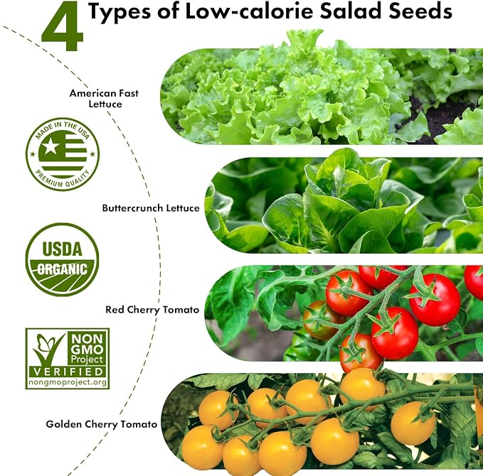 Low-calorie Salad