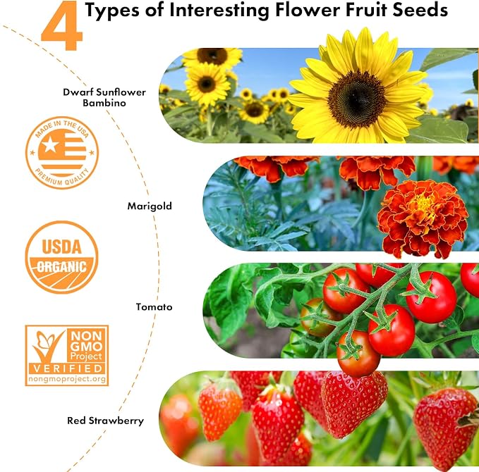 Flower Fruit