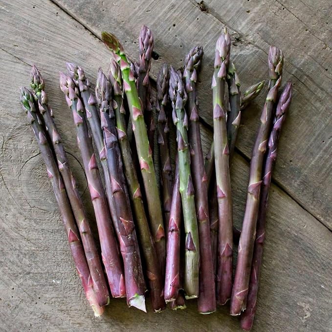 Purple Asparagus