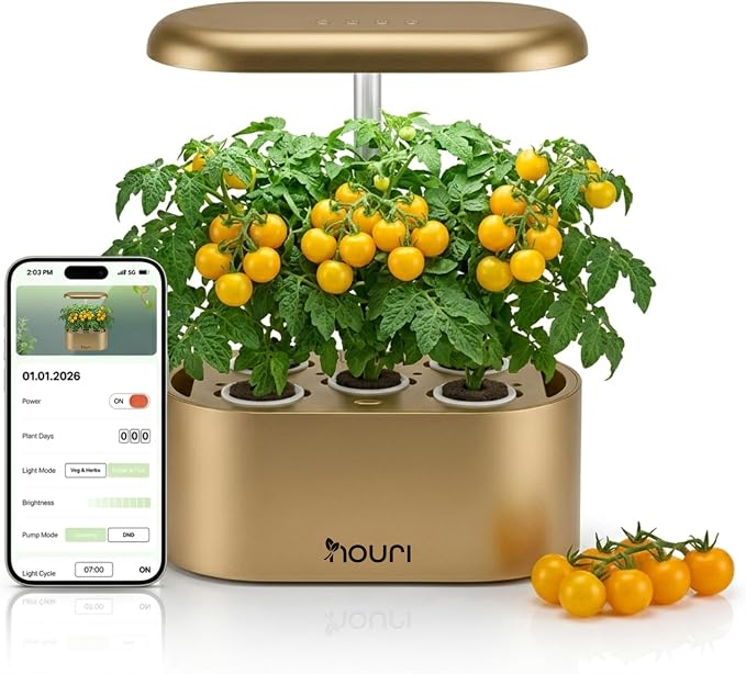 Gold with App