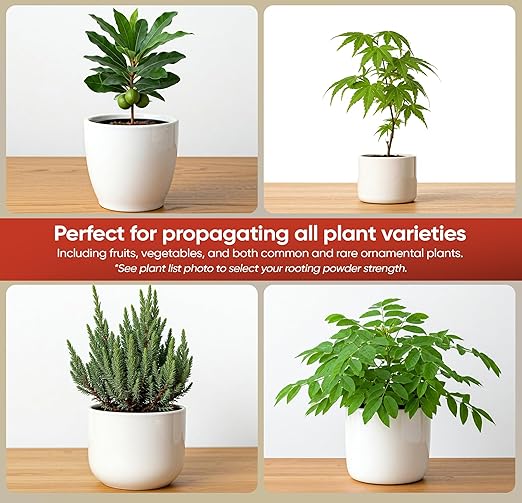D) #16 For Hard to Root Woody Plants