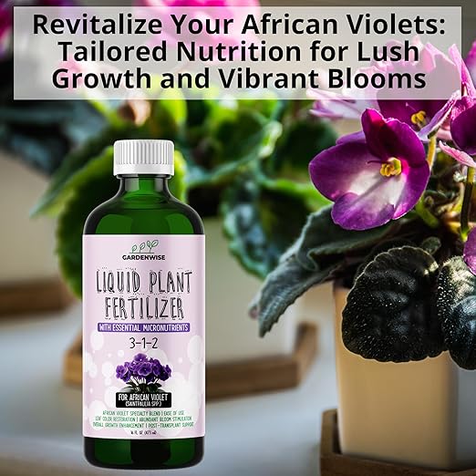 African Violet Drops 3-1-2