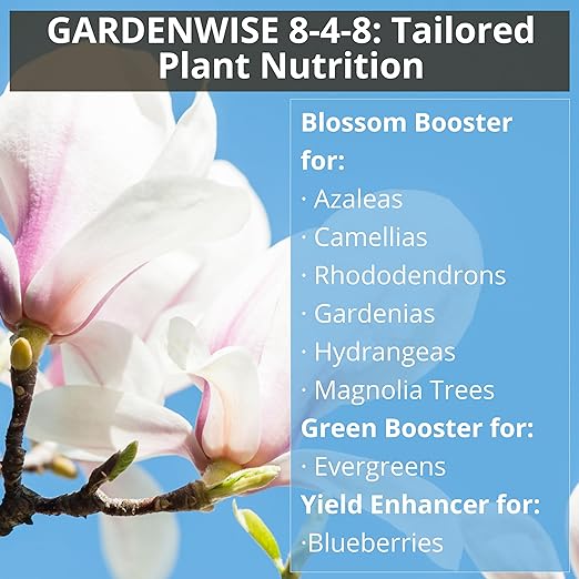 8-4-8 Azalea Fertilizer