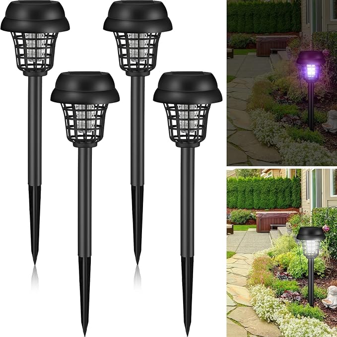 Retro Black Exterior,Purple, White Light