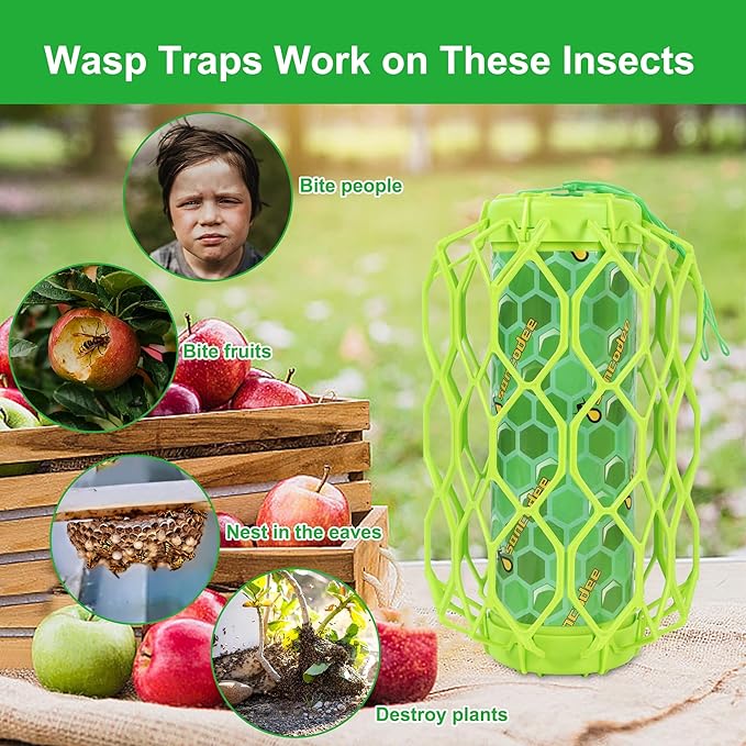Green-4 Pack
