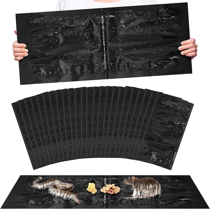 black-24Pack