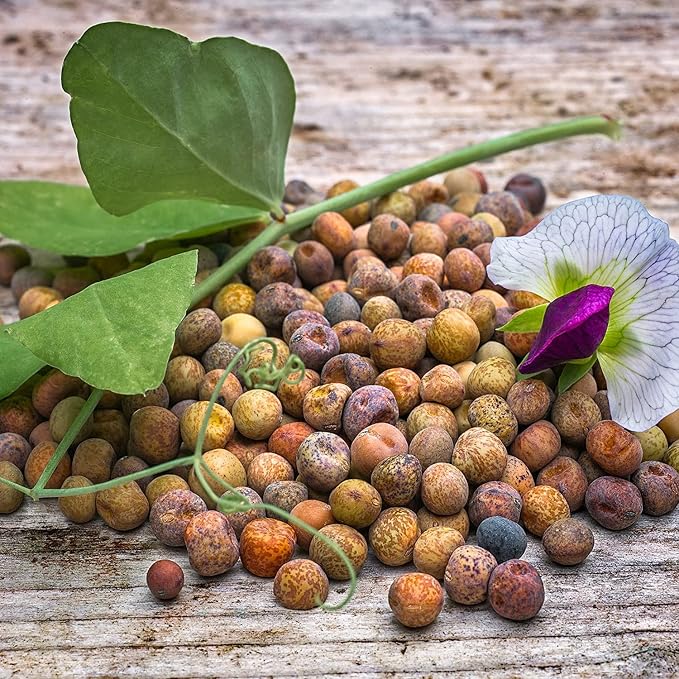 Winter Peas - 8 Oz.