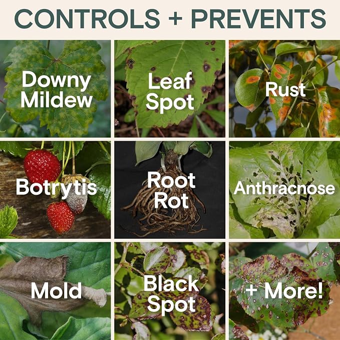 Organic Fungicide