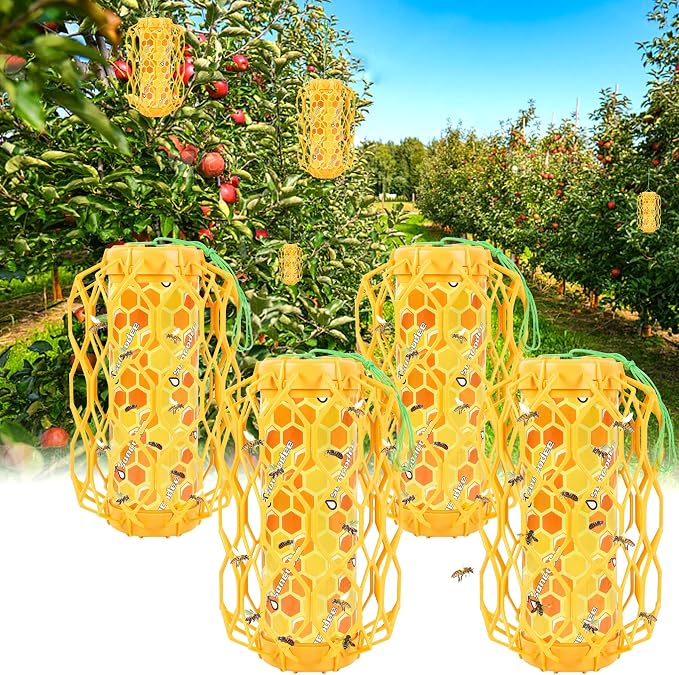 Orange-4 Pack