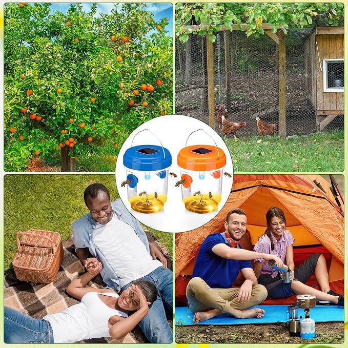 Orange, Blue