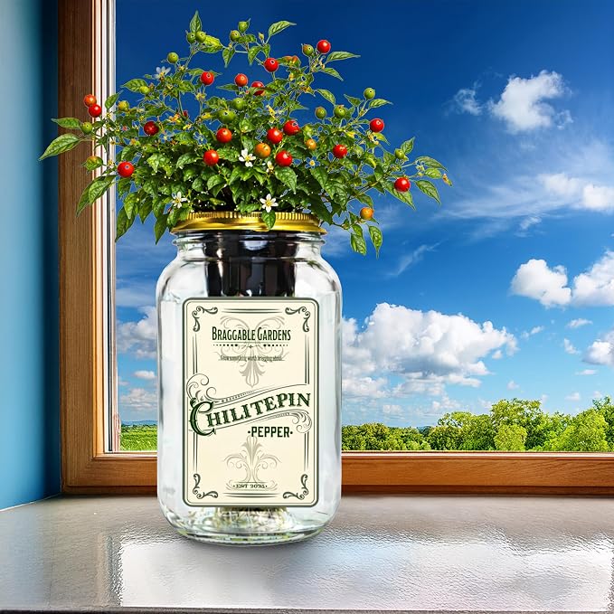 Chiltepin Pepper