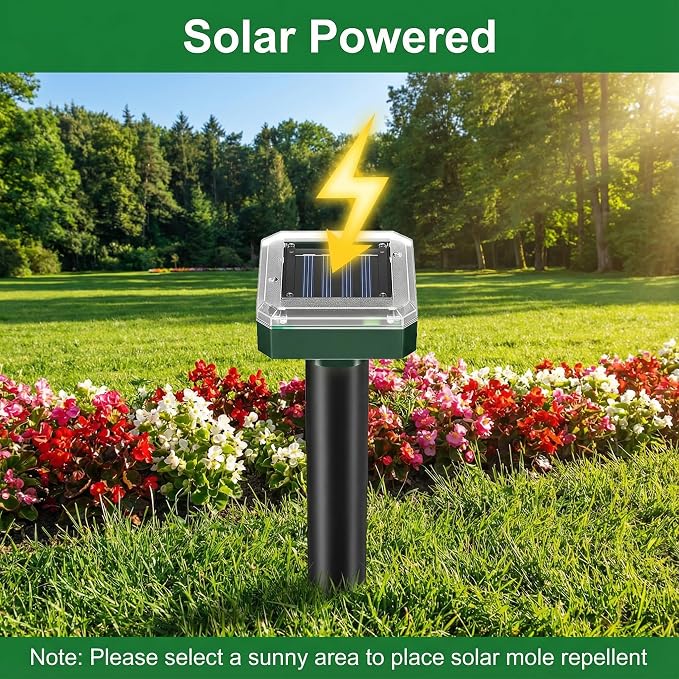 __DEFAULT__