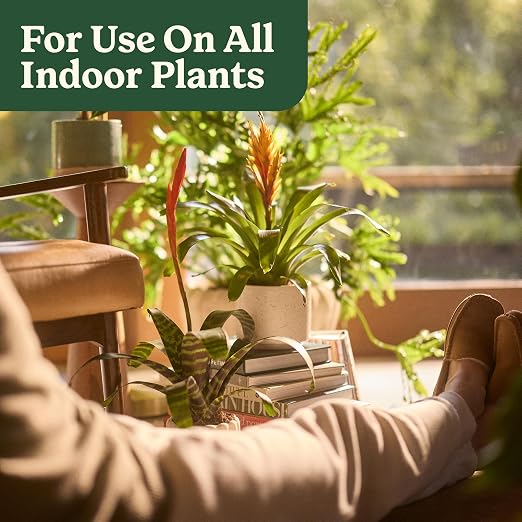 Organic Houseplant
