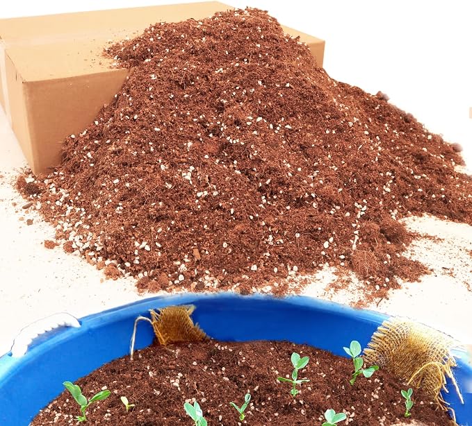 Potting Soil