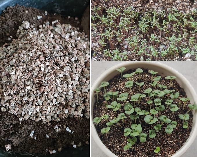 Vermiculite