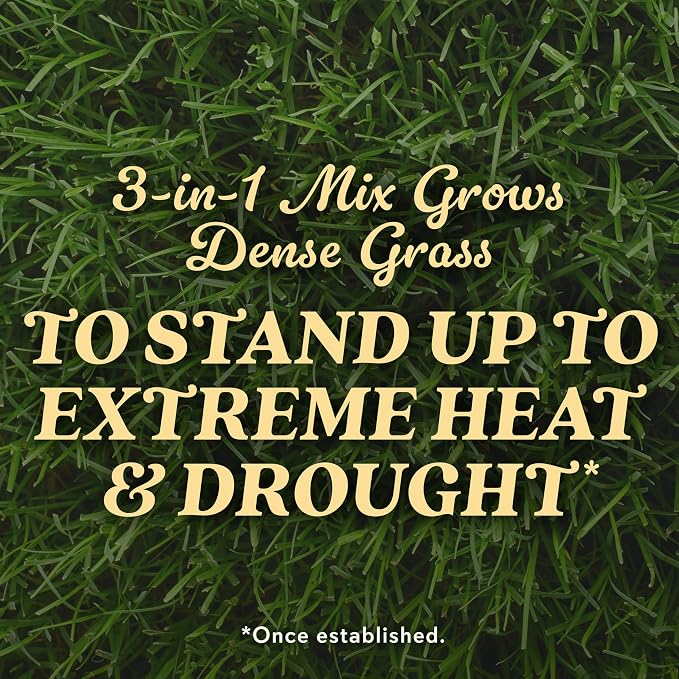 Bermudagrass