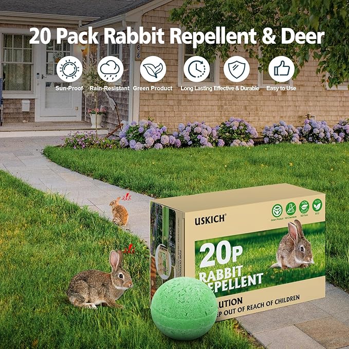 Green-rabbit