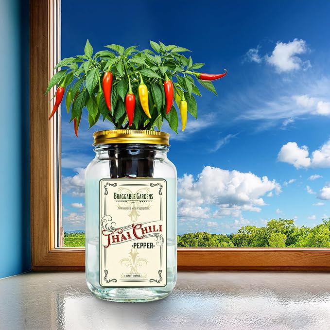 Thai Chili Pepper