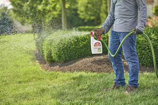 __DEFAULT__